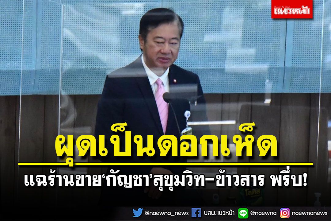 ส.ว.แฉกลางสภาสูง ‘สุขุมวิท-ข้าวสาร’ ร้านขายกัญชาผุดพรึ่บเป็นดอกเห็ด
