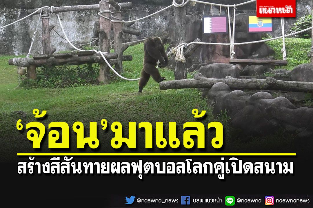 'เจ้าจ้อน'สร้างสีสันทายผลฟุตบอลโลก 2022 คู่เปิดสนาม ใครจะชนะ?