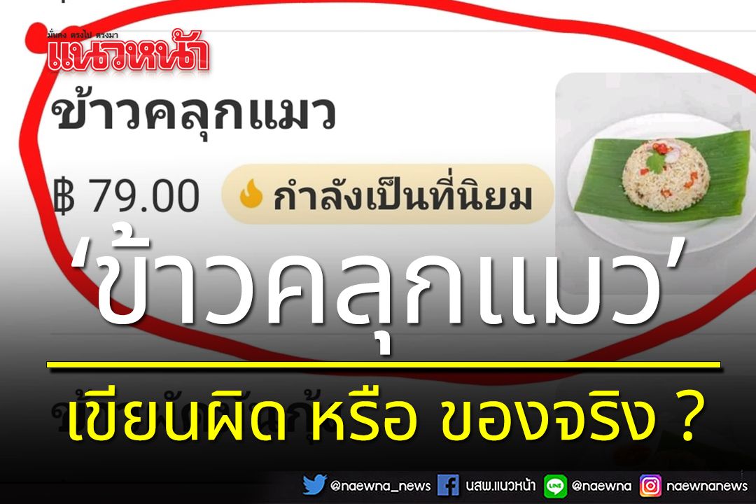 ข้าวคลุกแมวของจริงหรือปลอม !!