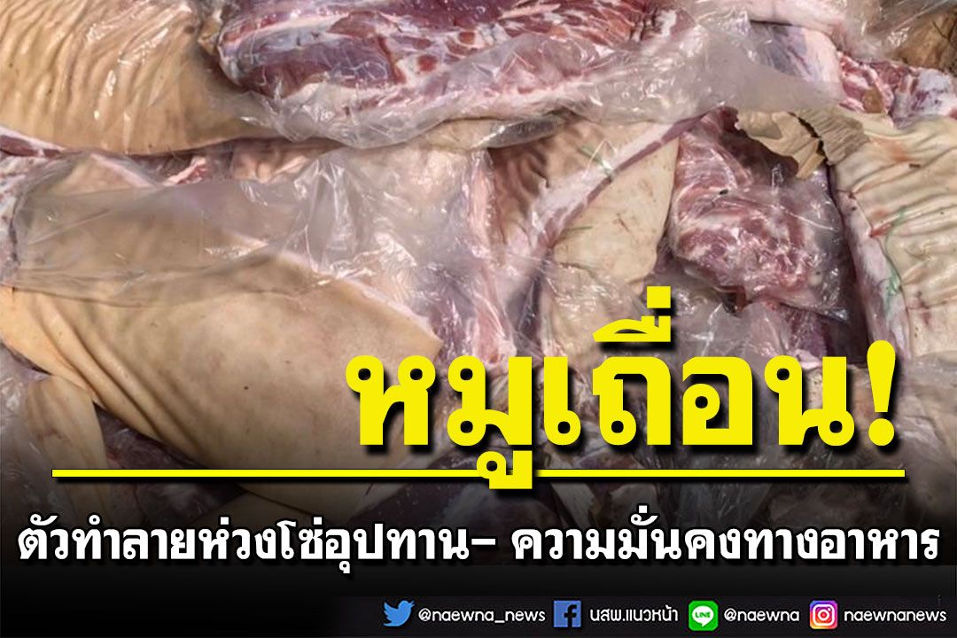 นักวิชาการย้ำ'หมูเถื่อน' ตัวการทำลายห่วงโซ่อุปทาน ความมั่นคงทางอาหารของไทย