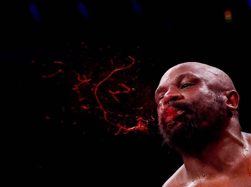 Photo of the week : ภาพเด็ดประจำสัปดาห์