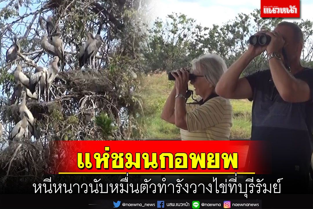 นทท.แห่เที่ยวสัมผัสธรรมชาติ​ชมนกอพยพหนีหนาวนับหมื่นตัวทำรังวางไข่