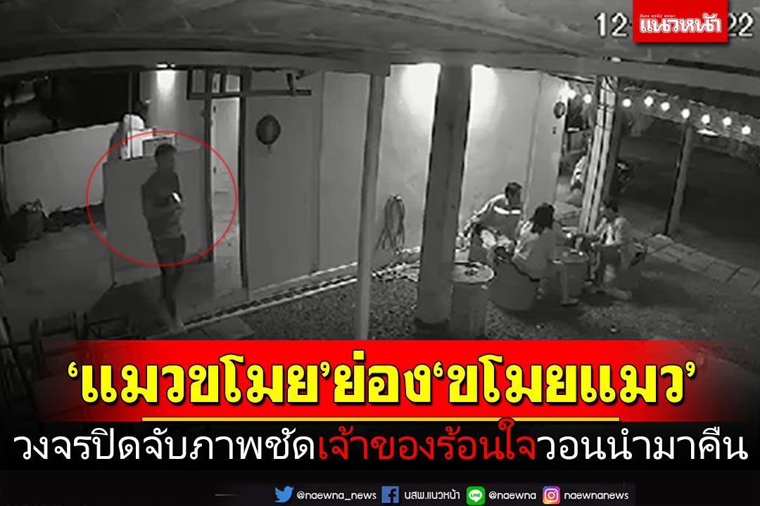 'แมวขโมย'ย่อง'ขโมยแมว' วงจรปิดจับภาพคนขโมยแมว เจ้าของร้อนใจวอนนำมาคืน