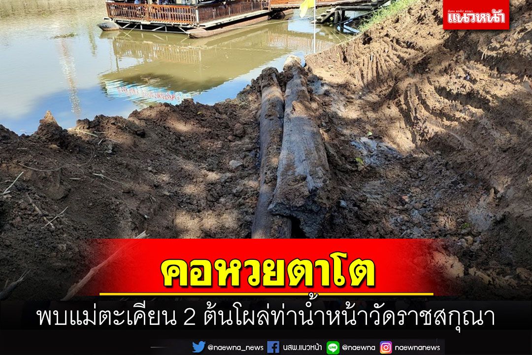 พบแม่ตะเคียน 2 ต้นโผล่ริมแม่น้ำน้อยหน้าวัดราชสกุณา คอหวยตาโตแห่ส่องเลข