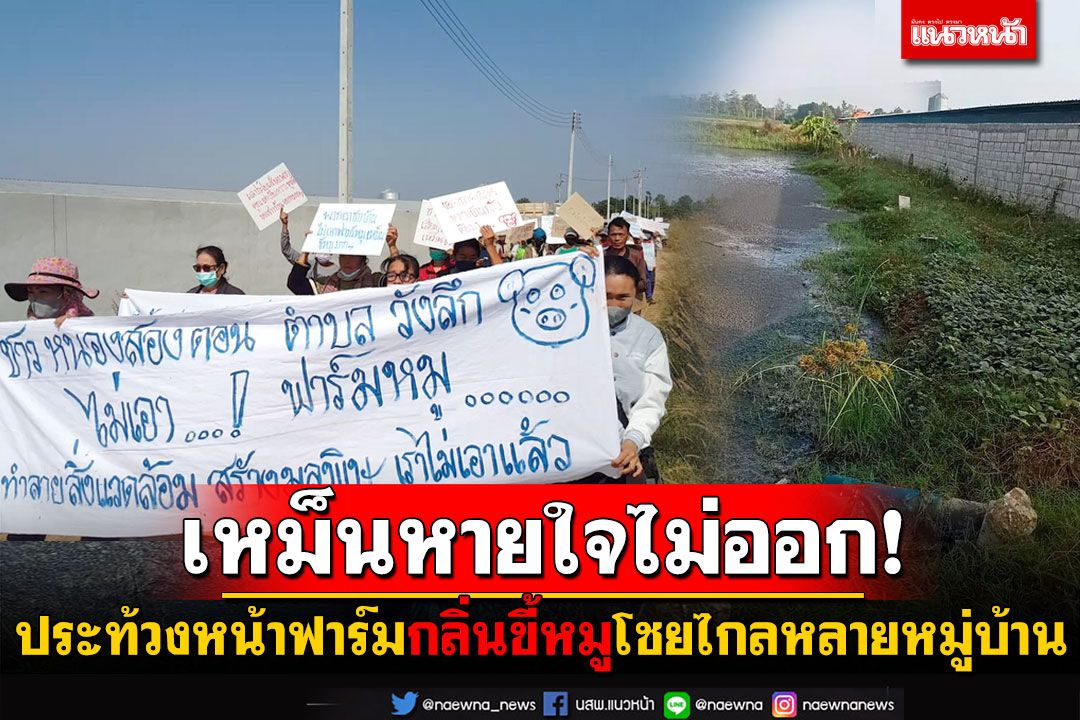 เหม็นจนหายใจไม่ออก! ประท้วงหน้าฟาร์มหมู กลิ่นขี้หมูโชยไกลหลายหมู่บ้าน