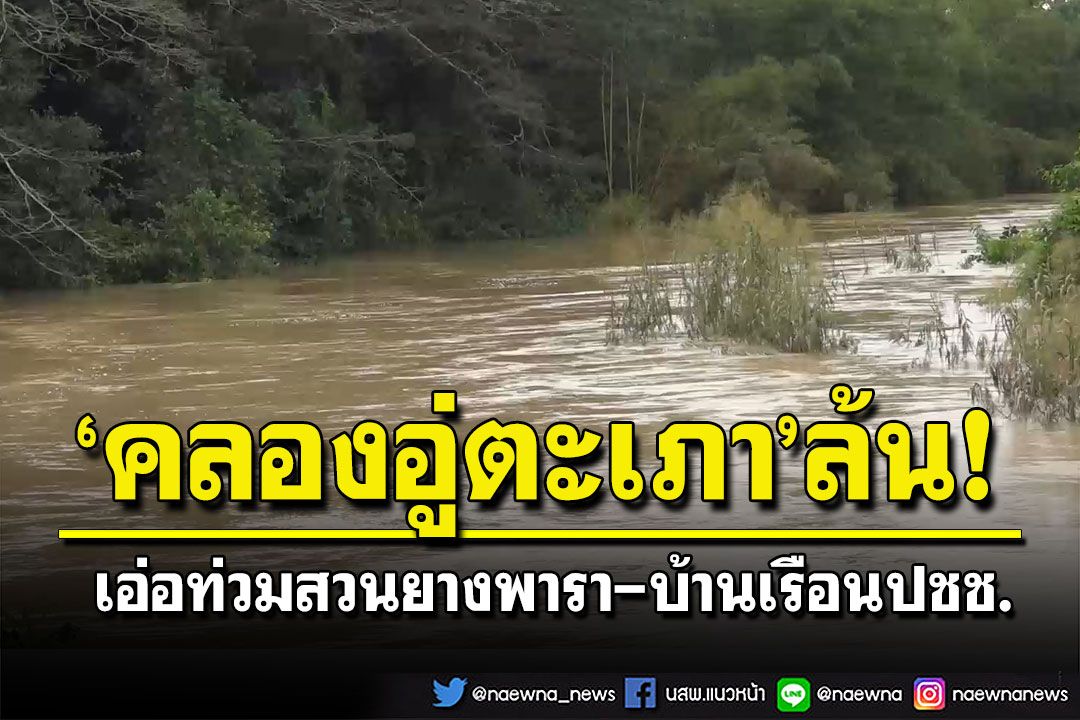 มวลน้ำคลองอู่ตะเภาเริ่มล้นตลิ่ง เอ่อท่วมสวนยางพารา-บ้านเรือนปชช.