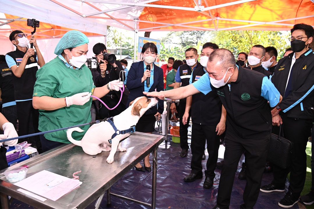 'เฉลิมชัย'ส่งสุขปีใหม่’66 มอบกรมปศุสัตว์ Kick Off ผ่าตัดทำหมัน-ฉีดวัคซีนหมาแมวฟรี