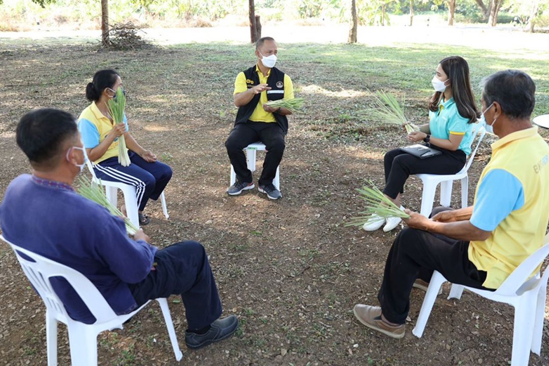 โลตัสสนับสนุนทหารผ่านศึกกลุ่มสายใจไทย-เครือข่ายเกษตรกรสุโขทัยปลูกผักคุณภาพสูงส่งขายในโลตัส