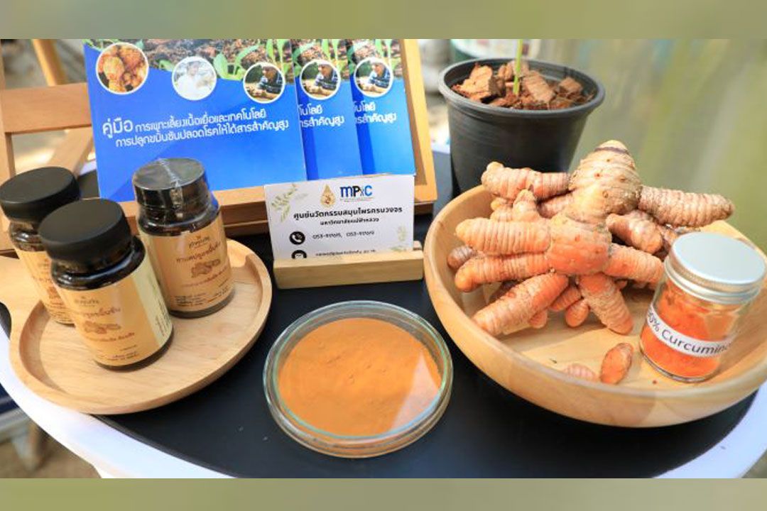 'สกสว.'ประสานพลัง'ม.แม่ฟ้าหลวง' ขับเคลื่อนแผนงานสำคัญด้าน ววน.