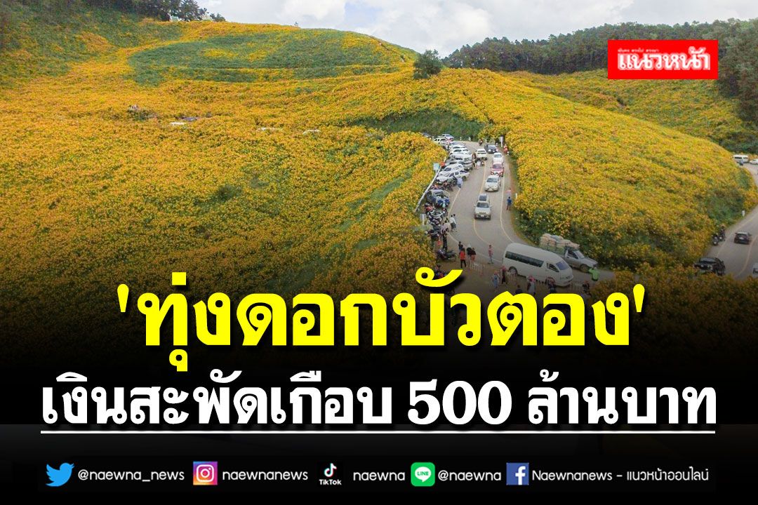 'ทุ่งดอกบัวตอง'เงินสะพัดเกือบ500ล้าน คาดช่วงปีใหม่เพิ่มอีก100ล้าน