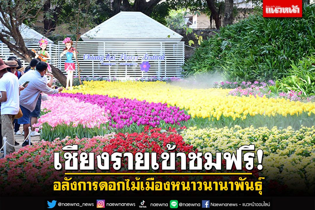 เข้าชมฟรี! 'เชียงรายดอกไม้งาม' อลังการดอกไม้เมืองหนาวนานาพันธุ์