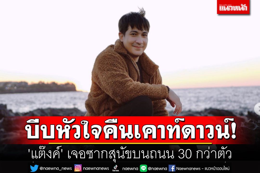บีบหัวใจคืนเคาท์ดาวน์! 'แต๊งค์ พงศกร' เจอซากสุนัขบนถนน 30 กว่าตัว