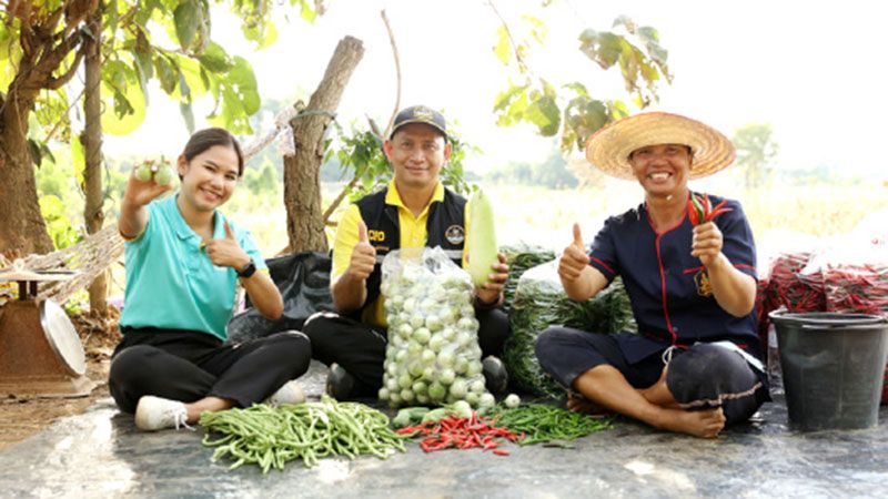 โลตัส สนับสนุนทหารผ่านศึกกลุ่มสายใจไทย  ปลูกผักสดส่งขายในโลตัส สร้างอาชีพและรายไดที่ยั่งยืน