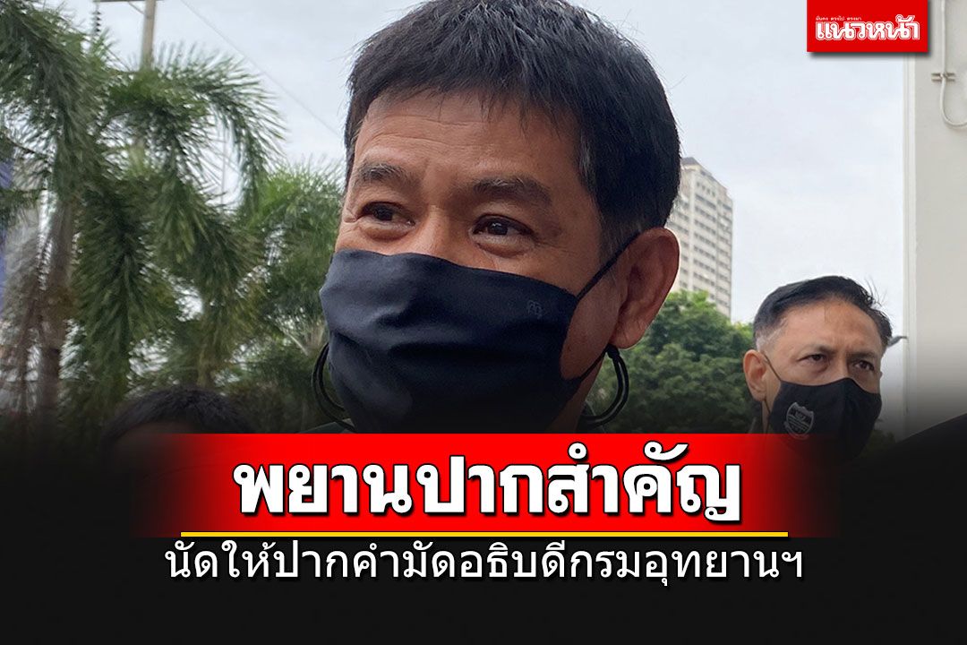 'ชัยวัฒน์'นัดให้ปากคำป.ป.ป.เอาผิดอธิบดีกรมอุทยานฯ เป็นชุดแรก 4 ม.ค.นี้