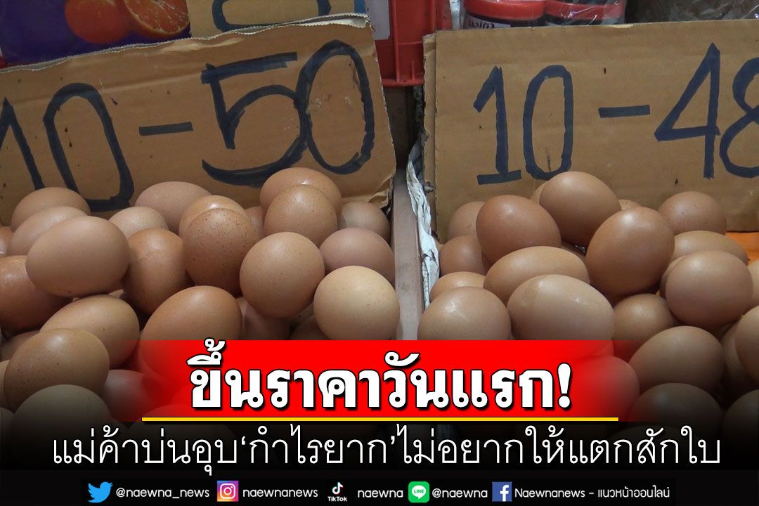 แม่ค้าโอดกำไรหด! หลังราคา'ไข่ไก่'ปรับขึ้นวันนี้วันแรกแผงละ 6 บาท