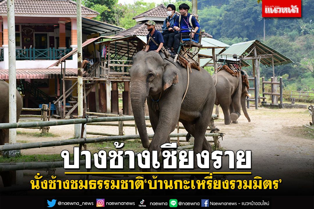 คึกคักครึกครื้น! ปางช้างเชียงราย 'บ้านกะเหรี่ยงรวมมิตร' นั่งช้างล่องแม่น้ำกกชมธรรมชาติ