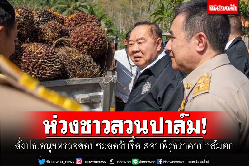 ห่วงชาวสวนปาล์ม! 'บิ๊กป้อม'สั่งปธ.อนุฯตรวจสอบชะลอรับซื้อ สอบพิรุธราคาปาล์มตก