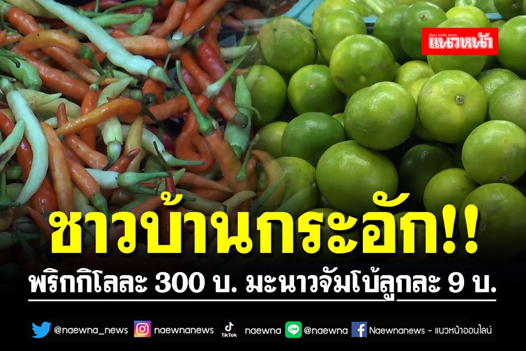 ชาวบ้านกระอัก!! พริกกิโลละ 300 บาท มะนาวจัมโบ้ลูกละ 9 บาท