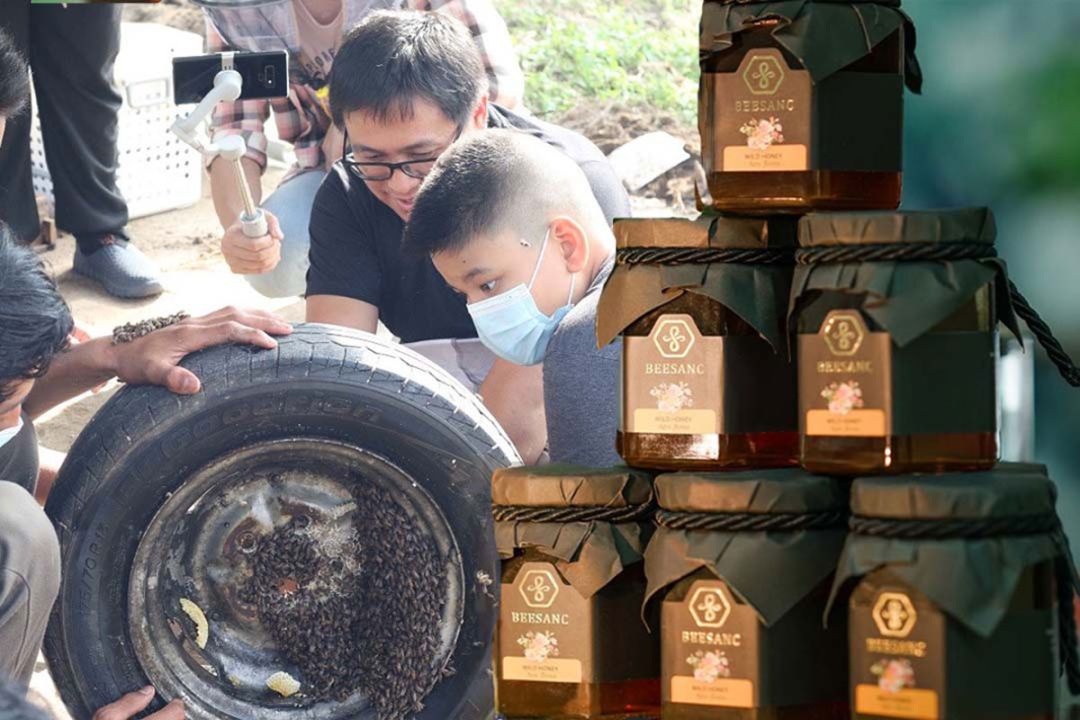 ‘Beesanc’โมเดลการเลี้ยงผึ้ง-ชันโรง  สู่‘นํ้าผึ้งตามสั่ง’สายพานอาชีพเอื้อชุมชน
