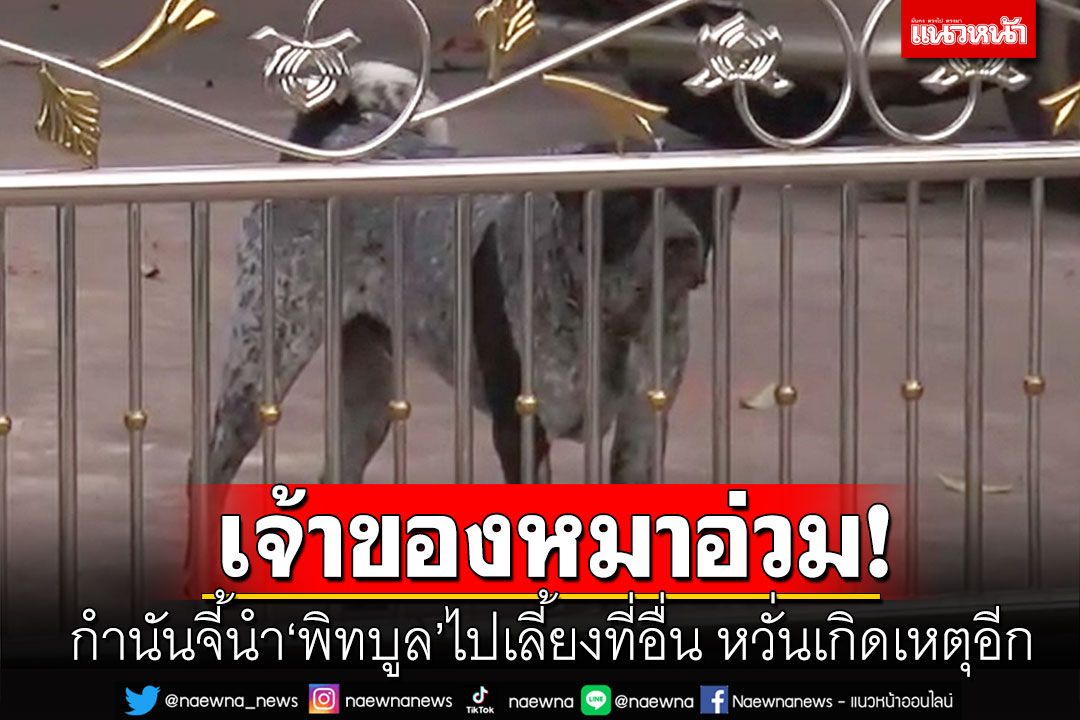 กำนันจี้เจ้าของ'พิทบูล'โหดหลุดขย่ำยายสาหัส นำออกจากชุมชนไปเลี้ยงที่อื่น