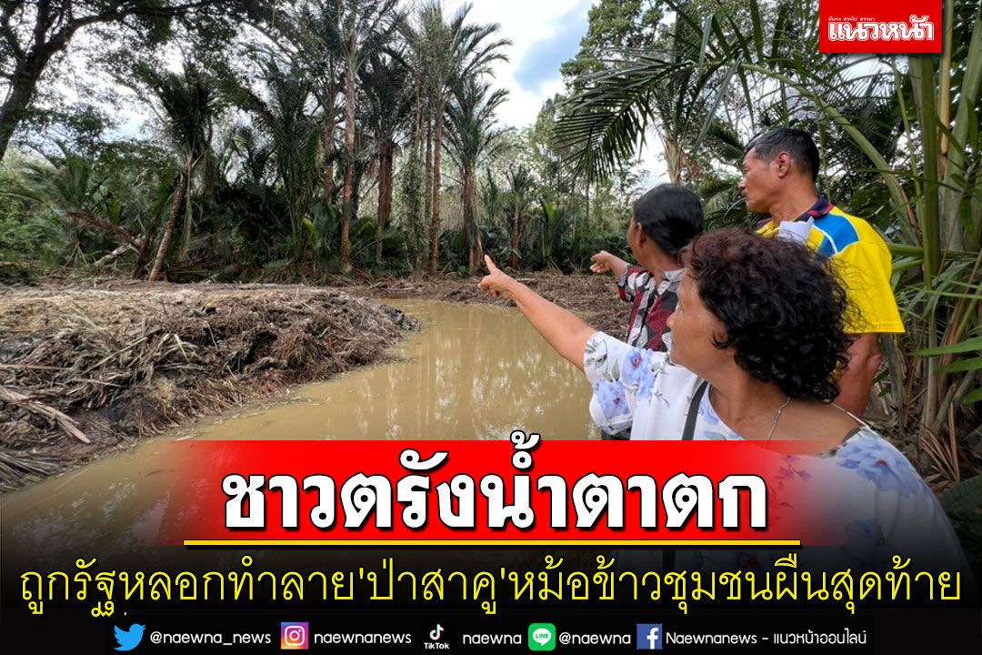 ชาวตรังน้ำตาตก! แฉถูกรัฐหลอกทำลาย 'ป่าสาคู' ทำโครงการอนุรักษ์ฟื้นฟูแหล่งน้ำ