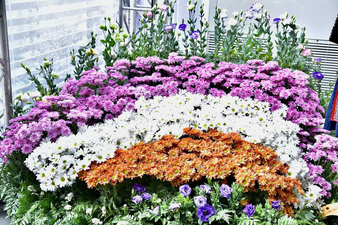 มูลนิธิโครงการหลวง เนรมิตคาเฟ่สวนดอกไม้ จำหน่าย Superfood จากยอดดอย  ในงาน ‘รอยัล โปรเจกท์ แกสโตรโนมี เฟสติวัล 2023 แอท สยามพารากอน’