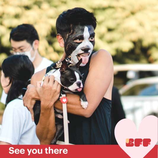 วิ่งมินิแรลลี่ของคนกับสุนัขสุดน่ารัก