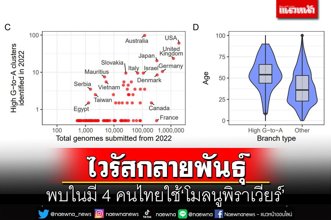 ศูนย์จีโนมฯเปิดงานวิจัยชี้มี 4 คนไทยใช้‘โมลนูพิราเวียร์’แล้วไวรัสกลายพันธุ์