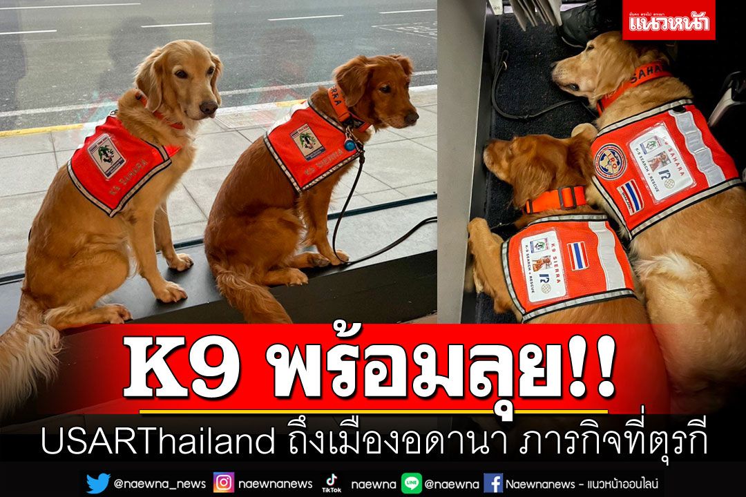 ส่งใจช่วย! K9 USAR Thailand ถึง'อาดานา' พร้อมลุยภารกิจ'ตุรกีแผ่นดินไหว'