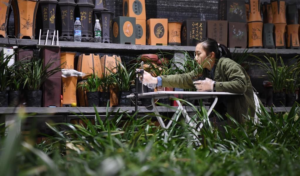 ‘กล้วยไม้ตัดดอก’ ของดีเมืองไทย กับโอกาสเติบโตในตลาดจีน