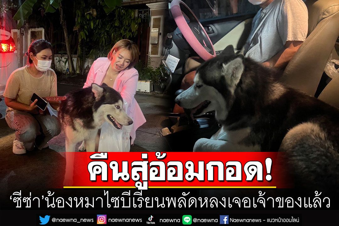 เจ้าของสุดดีใจ! เจอ'น้องซีซ่า'หมาไซบีเรียนพลัดหลง เจ้าตูบกระดิกหางรีบวิ่งขึ้นรถ