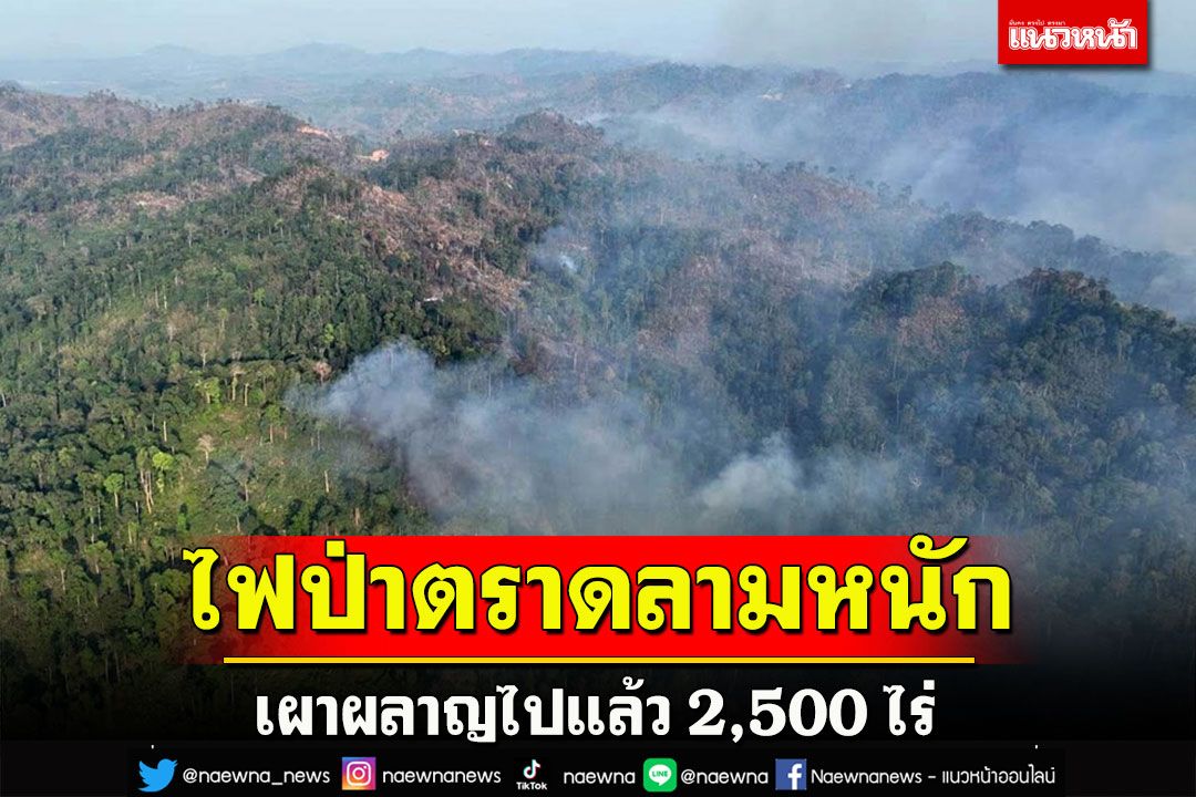 ไฟป่าชายแดนตราดยังหนักพบเผาผลาญป่าไปแล้ว 2,500 ไร่