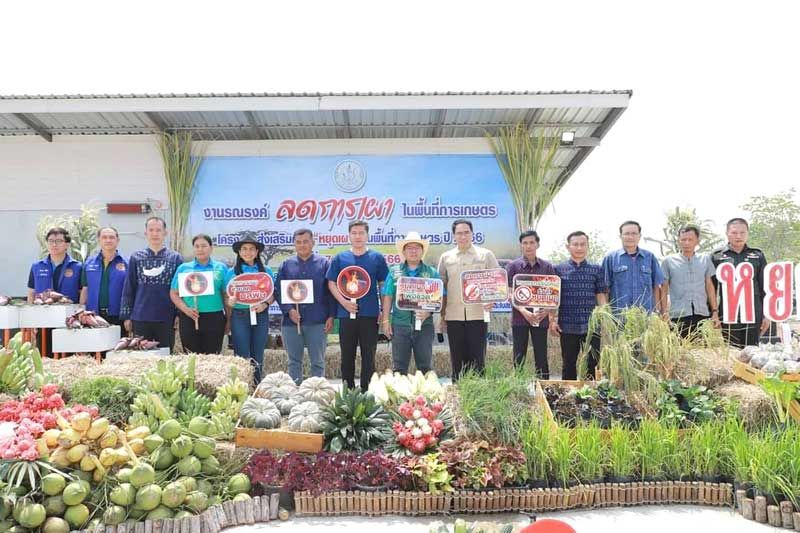 กรมส่งเสริมการเกษตรดึง 337 เครือข่ายรณรงค์ลดเผาพื้นที่การเกษตร