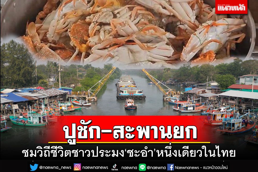 หนึ่งเดียวในไทย!ชมวิถีชีวิตชาวประมง ลิ้มรสปูม้าสดอร่อยที่ตลาด‘ปูชัก-สะพานยก@ชะอำ’