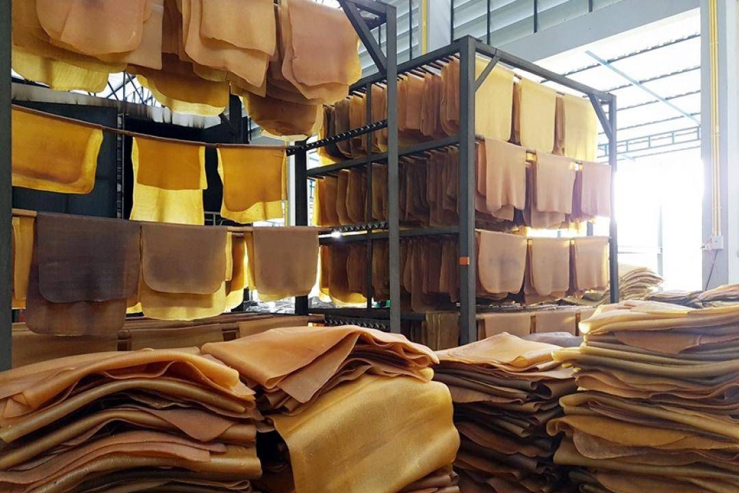 รุกฆาตพัฒนาสวนยางทั่วประเทศ20ล้านไร่  สู่มาตรฐานสากลรองรับกระแสรักษ์โลก