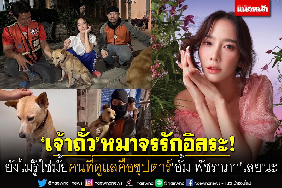 'เจ้าถั่ว'หมาจรรักอิสระ! ยังไม่รู้ใช่มั้ย ว่าคนที่ดูแลคือซุปตาร์'อั้ม พัชราภา'