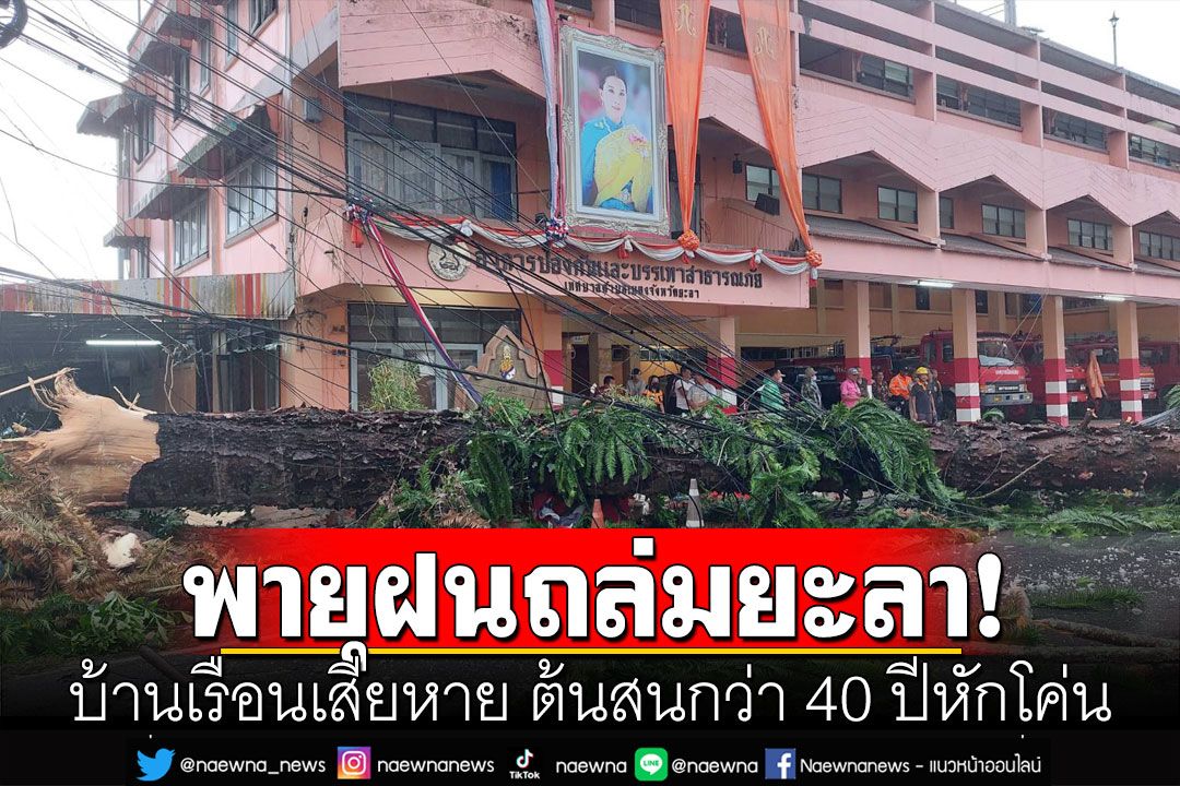 พายุฝนถล่มยะลา! บ้านเรือนเสียหาย ต้นสนกว่า 40 ปีหักโค่น โชคดีไม่มีใครเสียชีวิต