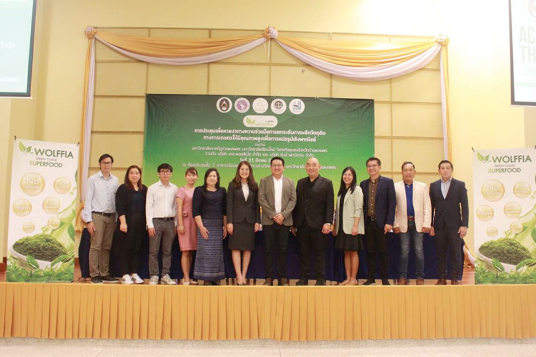 'ผำ พืชเกษตรตัวใหม่ผ่านการวิจัยพร้อมแปรรููปสู่เชิงพาณิชย์'