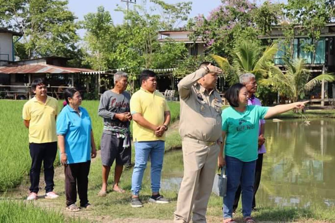 'อธิบดีกรมข้าว'ลงพื้นที่เมืองกาญจน์ ตรวจศูนย์ข้าวชุมชน  ปลุกชาวนาปลูกข้าวรักษ์โลก