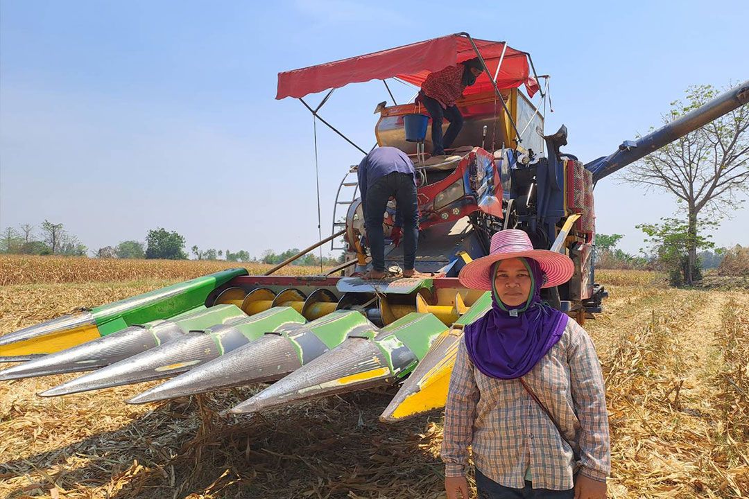 เกษตร จ.นครสวรรค์ หนุนกลุ่มเกษตรกรศาลเจ้าไก่ต่อ ปลูกข้าวโพดหลังนาที่ยั่งยืน