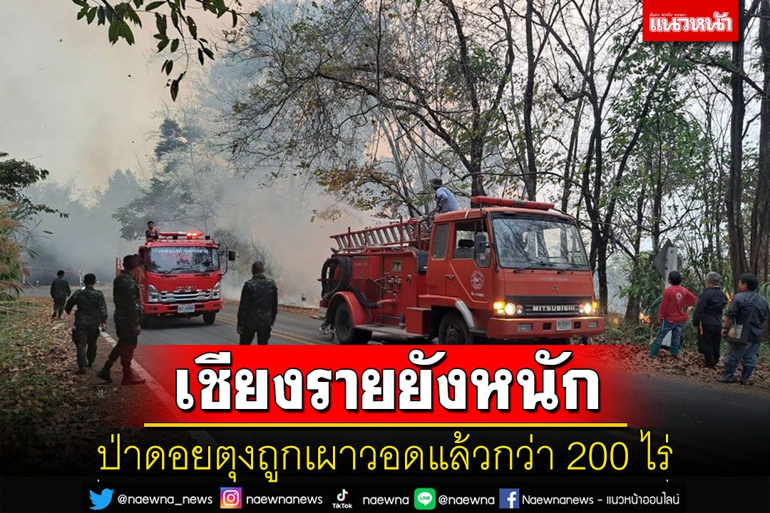 เชียงรายยังหนักจมฝุ่นควัน ป่าดอยตุงถูกเผาวอดแล้วกว่า 200 ไร่
