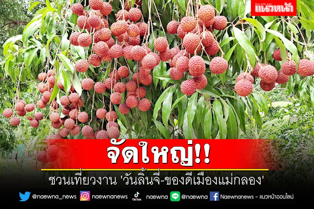 จัดใหญ่!! ชวนเที่ยวงาน 'วันลิ้นจี่-ของดีเมืองแม่กลอง'