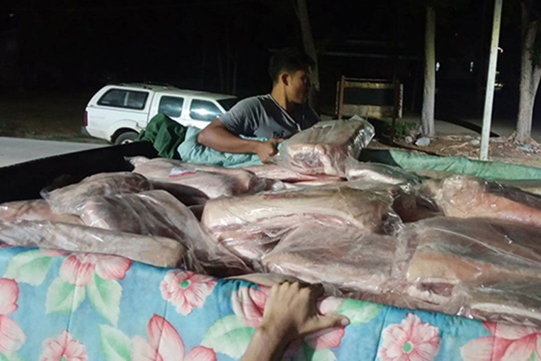 จับเนื้อหมูเถื่อน3.6พันกิโล ลักลอบนำเข้าจากกัมพูชา จะไปส่งลูกค้าที่‘ขอนแก่น’
