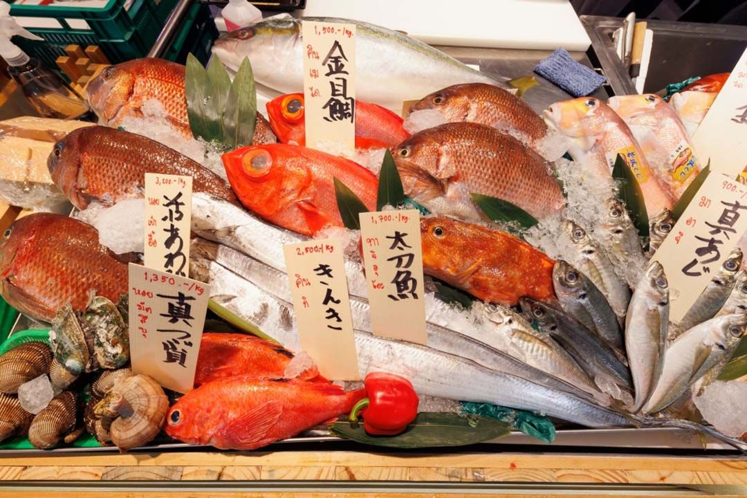 ‘ซีพี-อูโอริกิ’ส่งมอบความสดจาก‘เนื้อปลา’แบบญี่ปุ่นแท้ๆ แก่ผู้บริโภคคนไทย