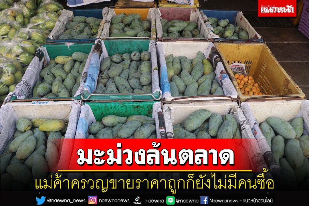 'แม่ค้าตลาดเกษตรสุวพันธุ์' ครวญมะม่วงล้นตลาดราคาถูกแต่กลับขายไม่ออก