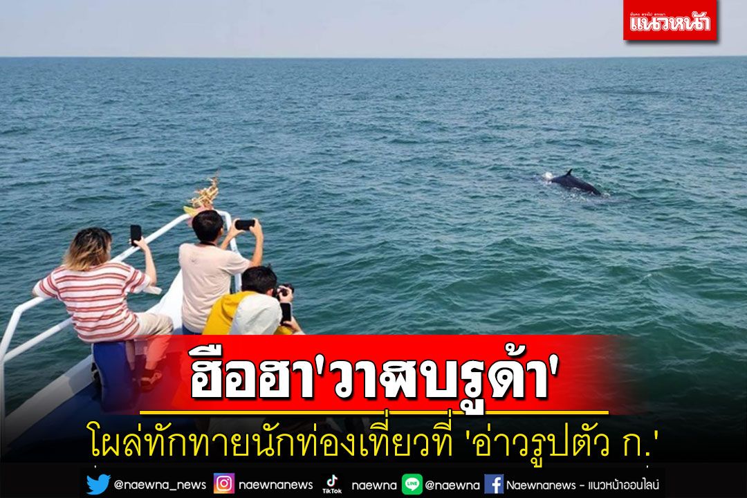 ฮือฮา! 'วาฬบรูด้า'โผล่ทักทายนักท่องเที่ยวที่'อ่าวรูปตัว ก.'สมุทรสาคร