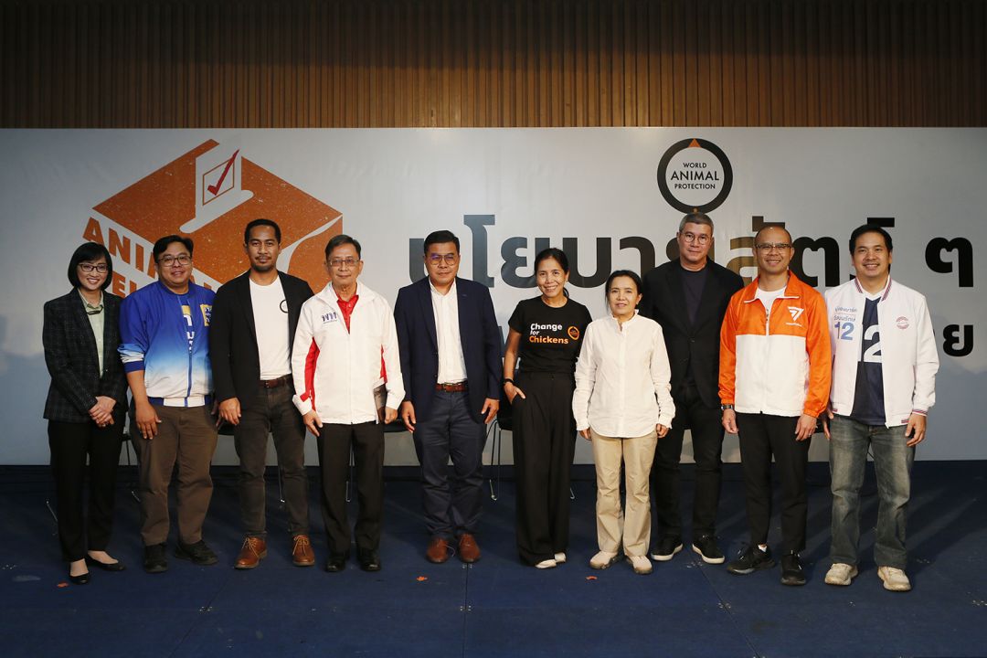 จับตานโยบายสวัสดิภาพสัตว์กับมุมมอง 6 พรรคการเมือง