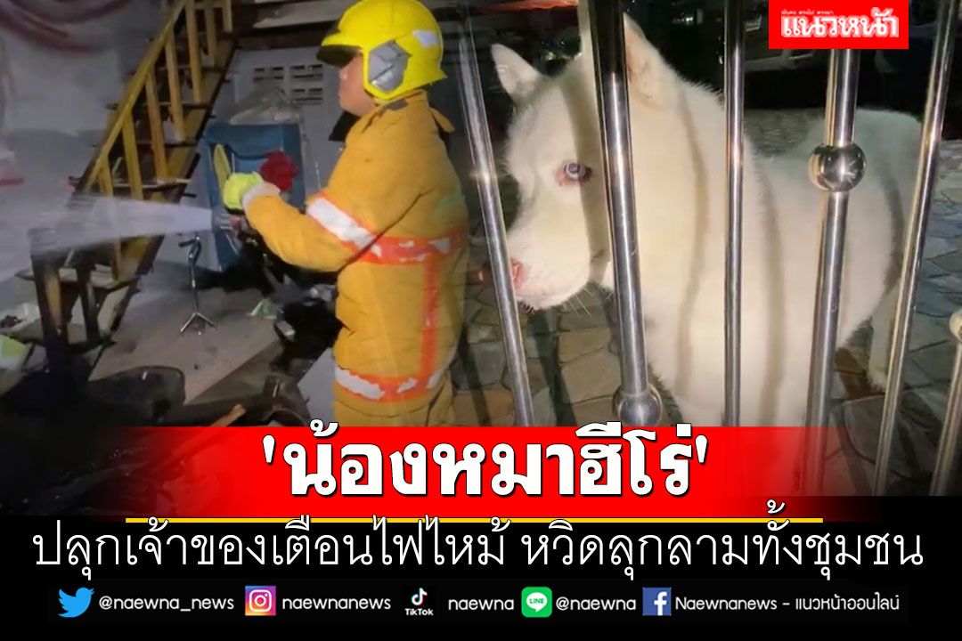 'น้องหมาฮีโร่' ปลุกเจ้าของเตือนไฟไหม้ หวิดลุกลามทั้งชุมชน