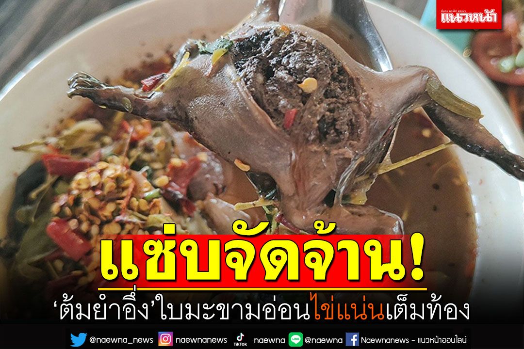 แซ่บจัดจ้าน! 'ต้มยำอึ่ง'ใบมะขามอ่อน ไข่แน่นเต็มท้อง