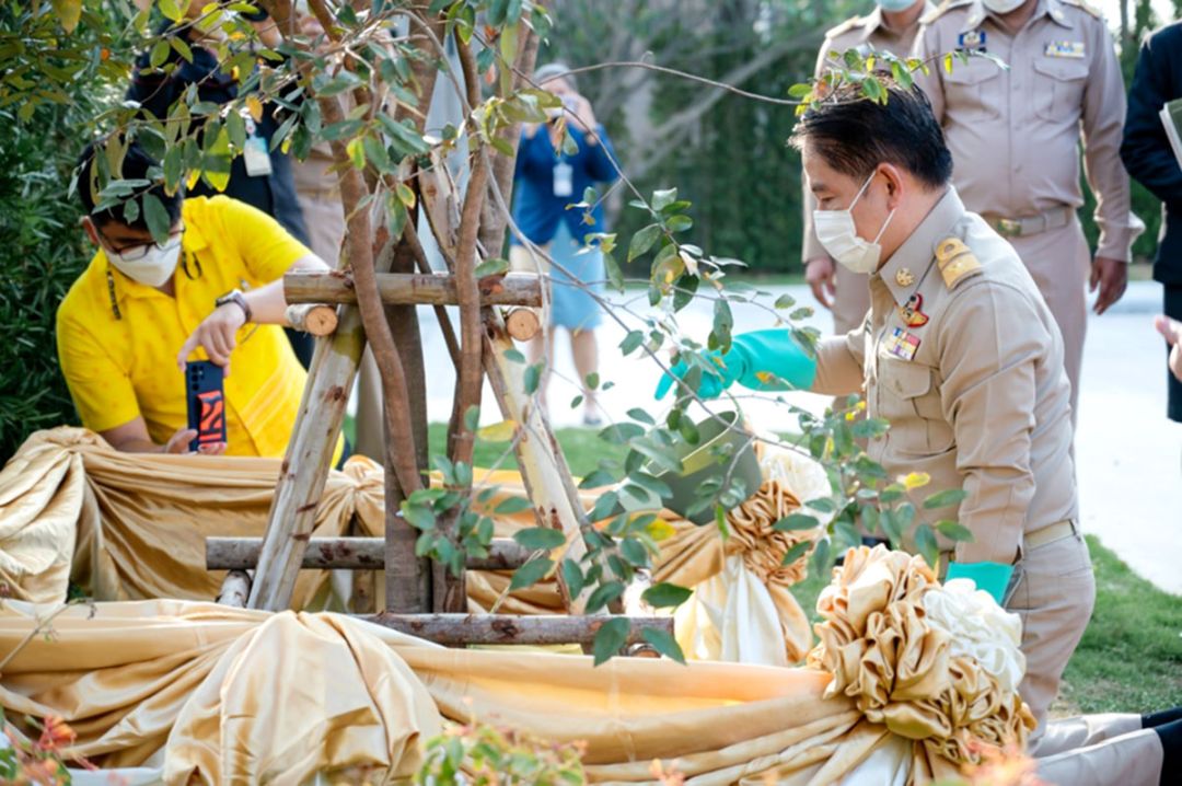 ม.สวนดุสิตจัดพิธีปลูกต้นรวงผึ้ง ต้นไม้ประจำพระองค์ รัชกาลที่ 10